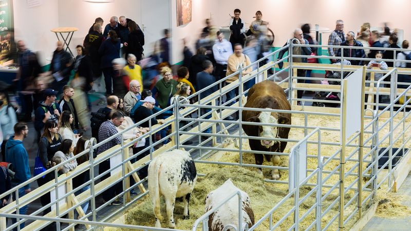 Internationale Grüne Woche